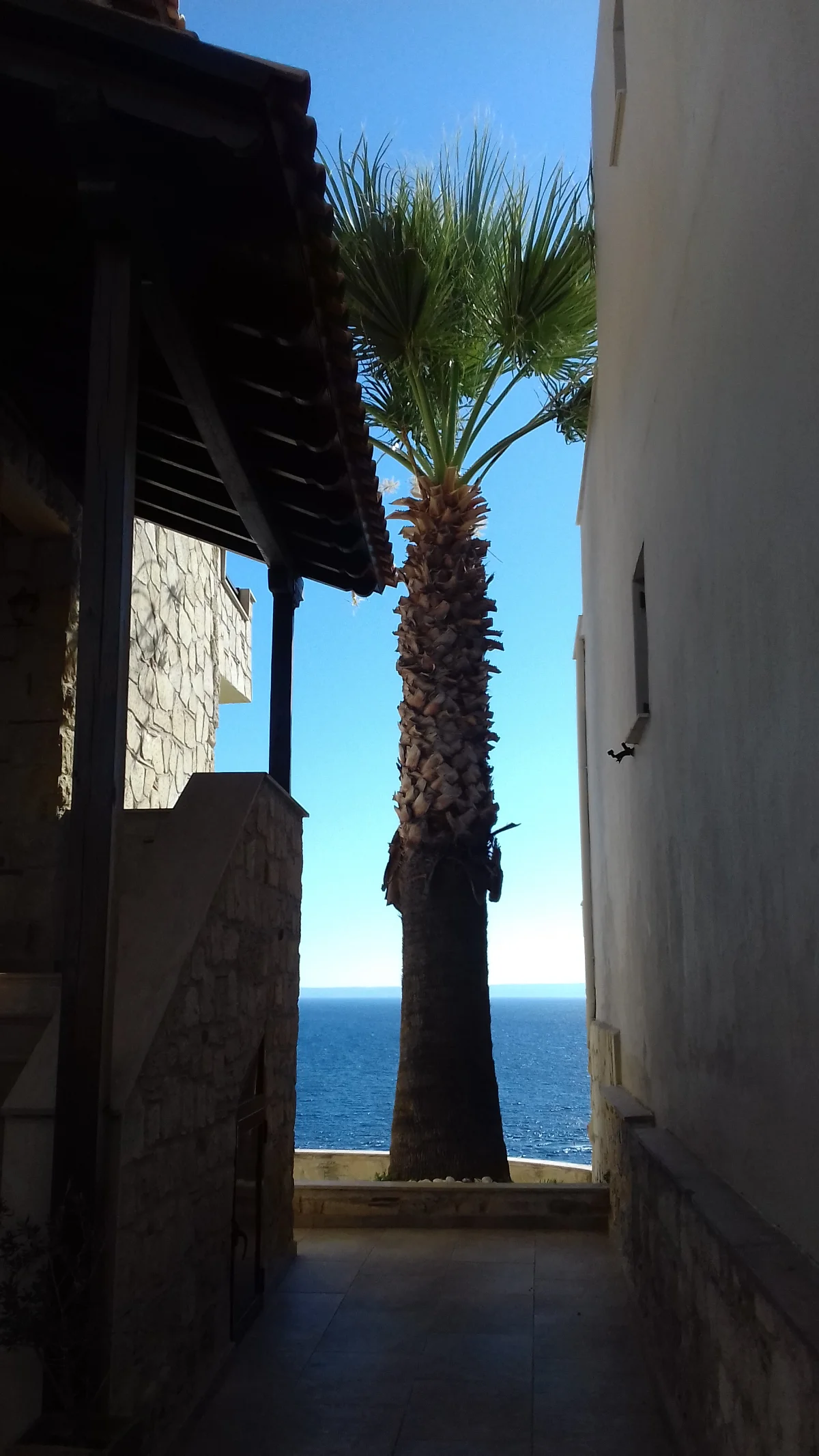 Panoramic view of Afitos village above the Toroneos Gulf