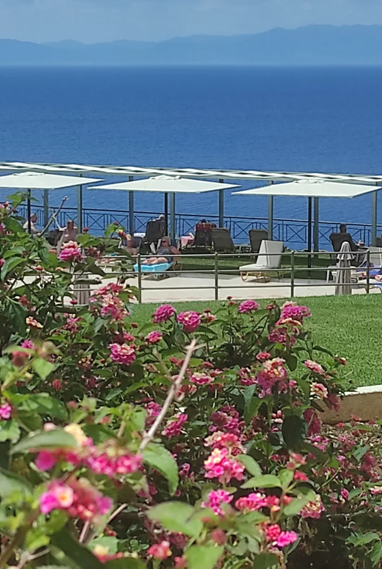 View of the garden and the pool